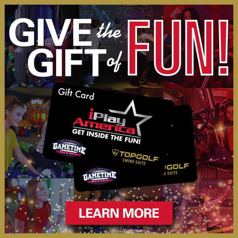 Give the Gift of Fun!