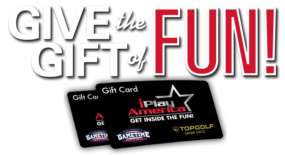 GIVE THE GIFT OF FUN